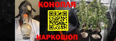бошки Брянск