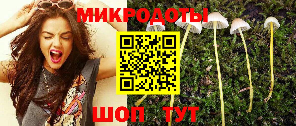 Псилоцибиновые грибы Psilocybine cubensis Большой Камень