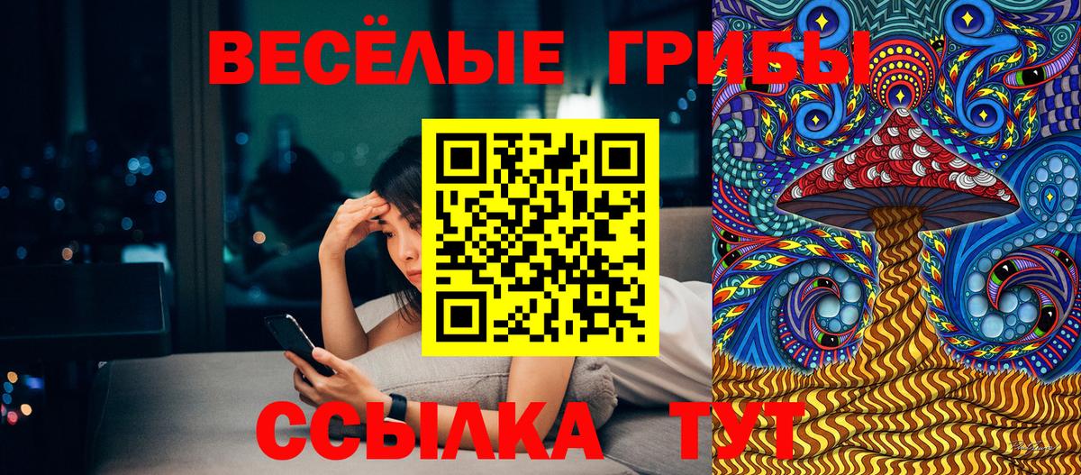 Большой Камень  Псилоцибиновые грибы мицелий  Вход с VPN 